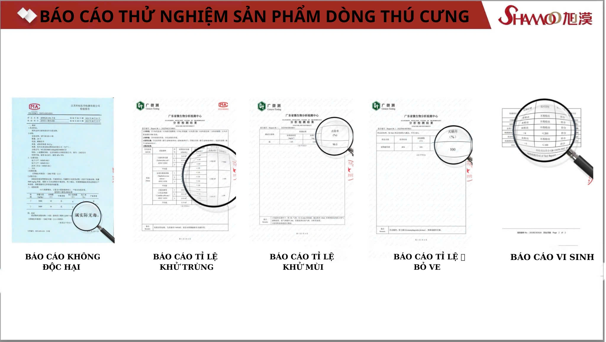 Khăn ướt xỏ ngón làm sạch răng SHAMMOO hộp 50 miếng giúp thú cưng có hơi thở thơm mát